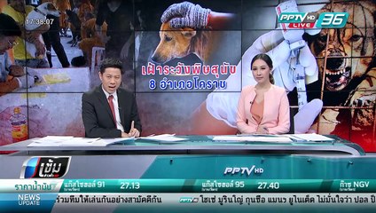 "บึงหัวทะเล" จุดเสี่ยงโรคพิษสุนัขบ้า จ.นครราชสีมา - เข้มข่าวค่ำ