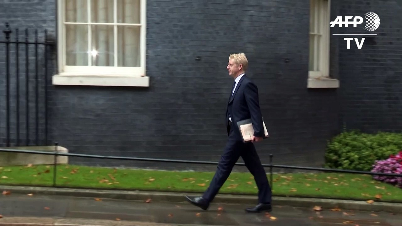 Boris Johnsons Bruder tritt als Abgeordneter und Staatssekretär zurück