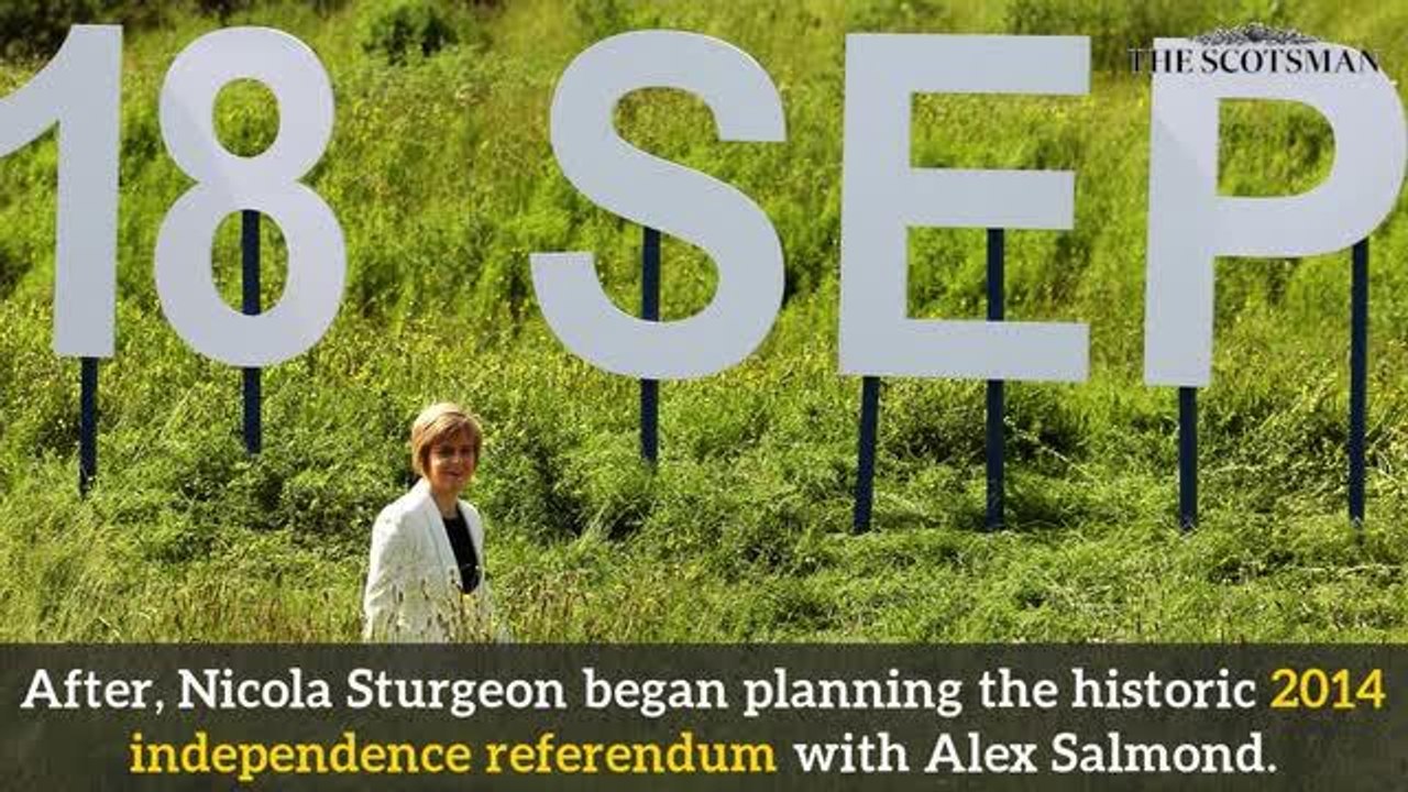 sturgeon