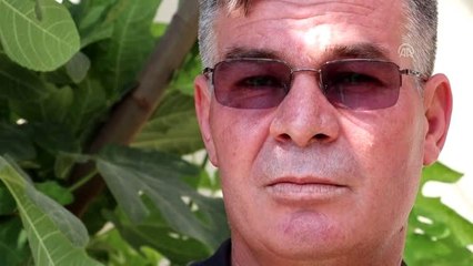 Denizli'de kadının eşi tarafından öldürülmesi