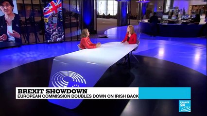 French MEP Nathalie Loiseau downplays UK talk of an alternative to Irish backstop