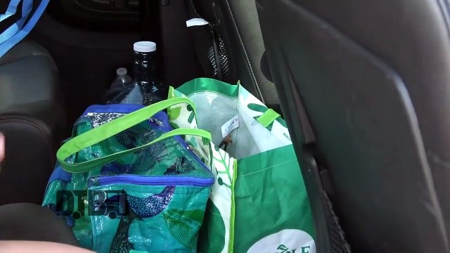 Party Nails - BUS INVADERS Ep. 1492