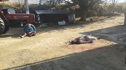 Av tüfeğiyle oğlunu öldürdü