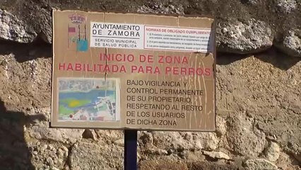 Zamora aprueba un impuesto por tener perro