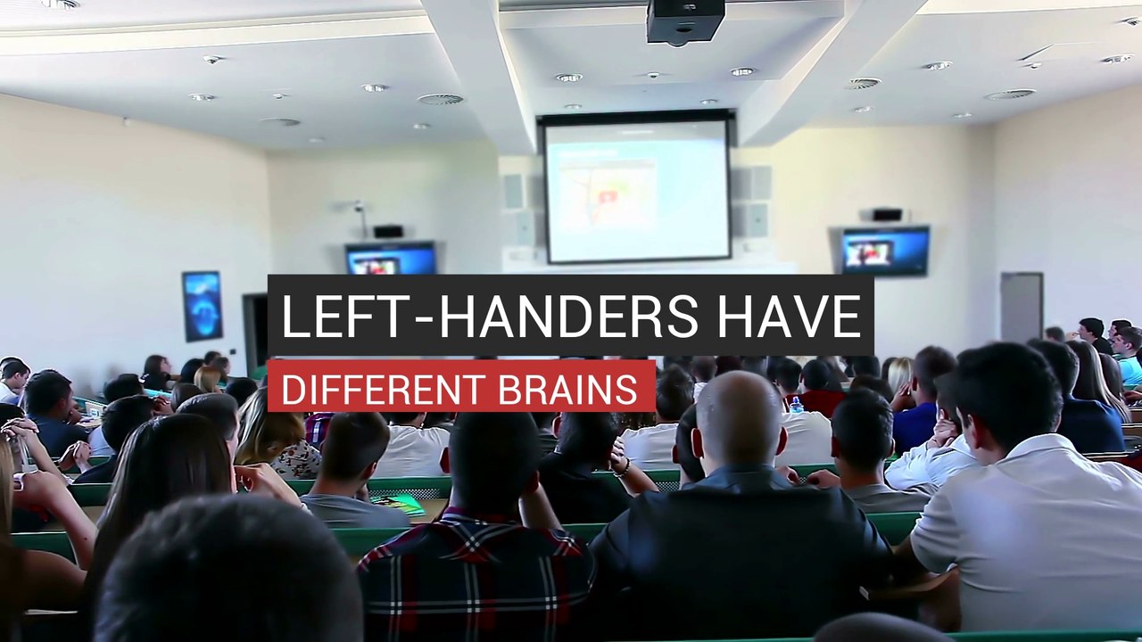 Are Lefties Physically Different?