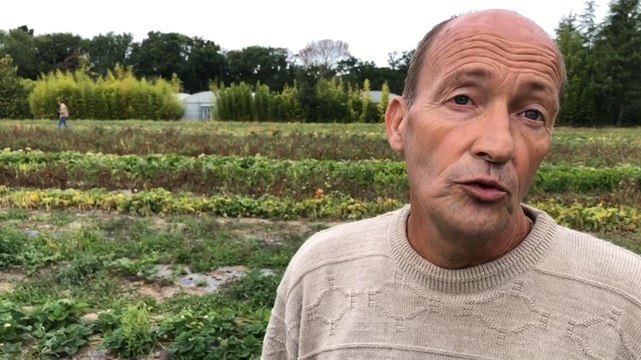 Les crèches alimentées par le potager municipal