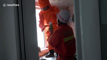 Firefighter uses flamethrower to clear huge swarm of bees in Chinese resident's kitchen