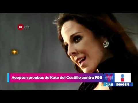 Ordenan admitir pruebas de Kate del Castillo por persecución política | Noticias con Yuriria