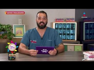 Mitos y realidades: ¿Mi mascota puede ser cardiópata? | Sale el Sol
