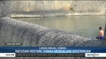 Kemarau Panjang, Bendungan Watervang di Lubuklinggau Mulai Mengering