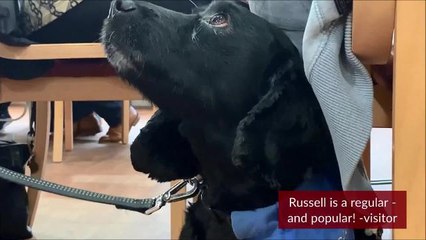 npse npgz 04-09-19 russell ft