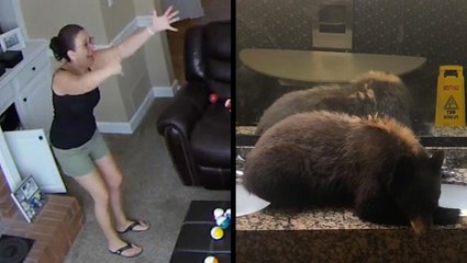 What Caused This Hilarious Freak Out? & Bear Chillin' In The Bathroom