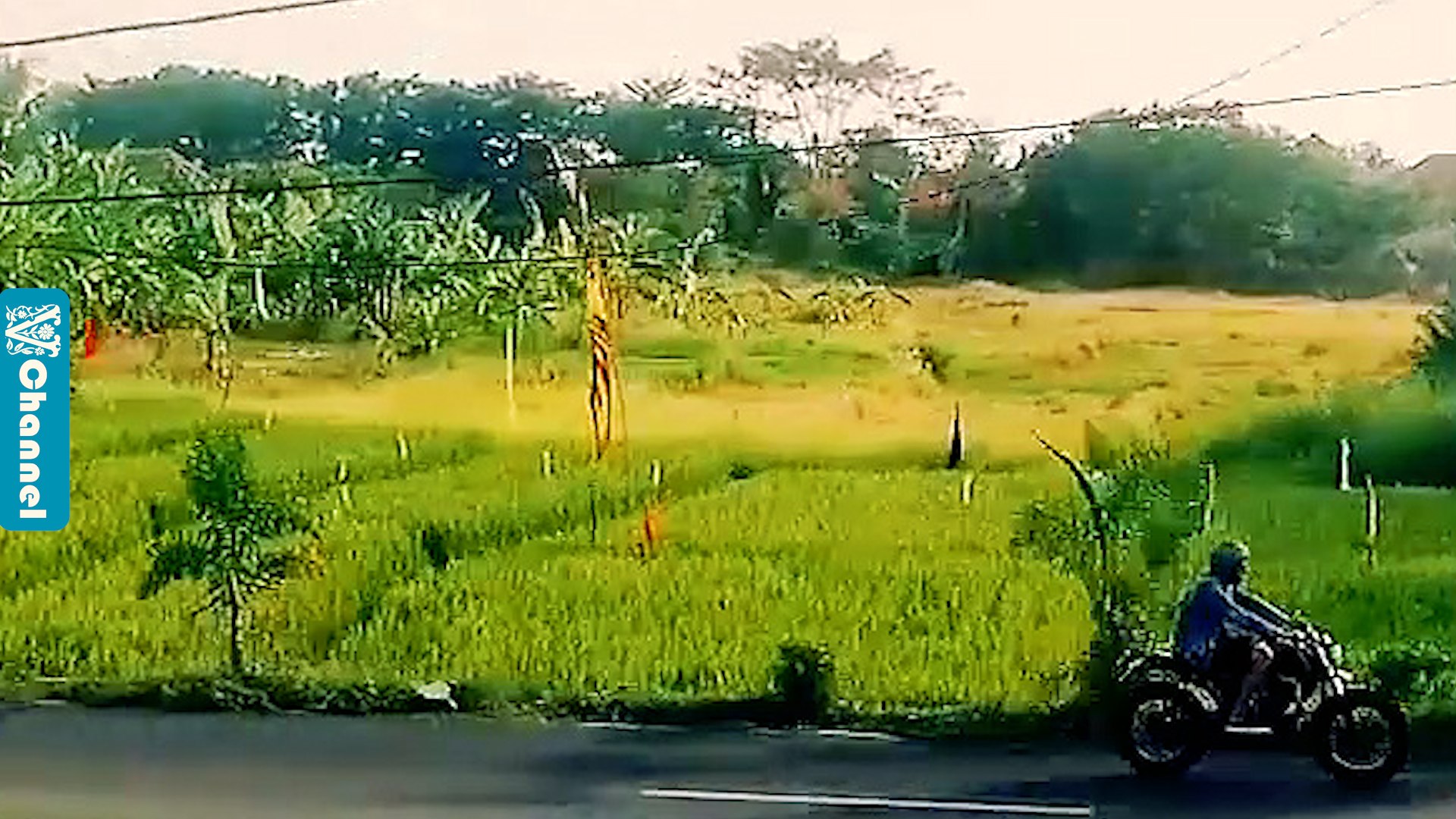 ⁣Bali Vlog | Travelling Diary [Vlog Music] (Music Video)