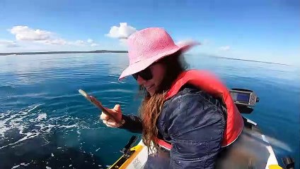 Friendly Whales Play with Stationary Jet Ski