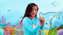 Baby Dolphin - Like Baby Shark but With Real Dolphins-