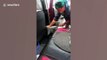 Serpent caché dans une voiture de location : vacances en thailande !