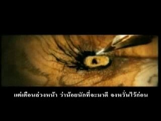 The Spiderwick Chronicles