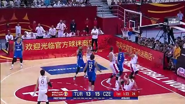 Türkiye - Çek Cumhuriyeti (Özet)