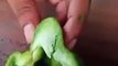 Il découvre un parasite dans un poivron juste avant de le manger