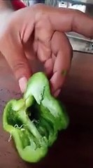 Il découvre un parasite dans un poivron juste avant de le manger