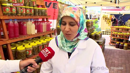 Uluslararası Çubuk Turşu ve Kültür Festivali başladı