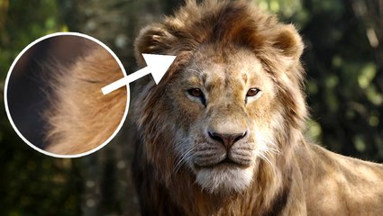 How 'The Lion King' remake was animated