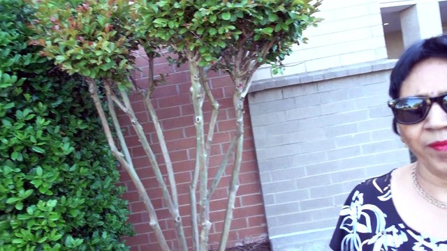 BDMV-52 Aruna & Hari Sharma after breakfast walking around Embassy Suites Rogers AR, May 13, 2019