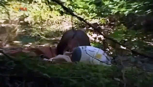 Endlich Samstag Staffel 2 Folge 15 Falsche Band am falschen Ort