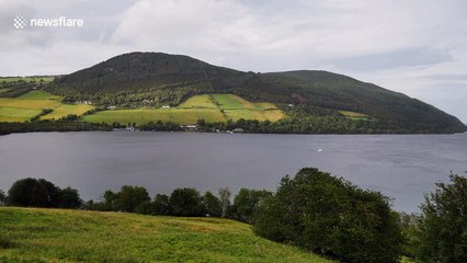Scientist using DNA may have discovered the legendary Loch Ness Monster, but thinks it's giant EELS