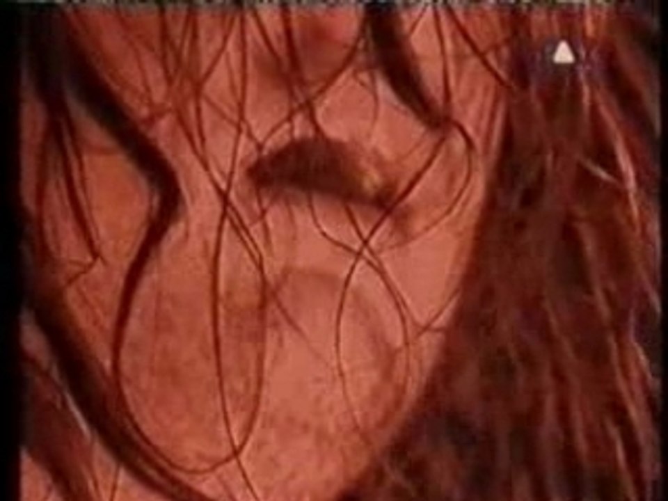 Korn - Divine (Brüssel, Belgium 1-22-97) Pro Shot