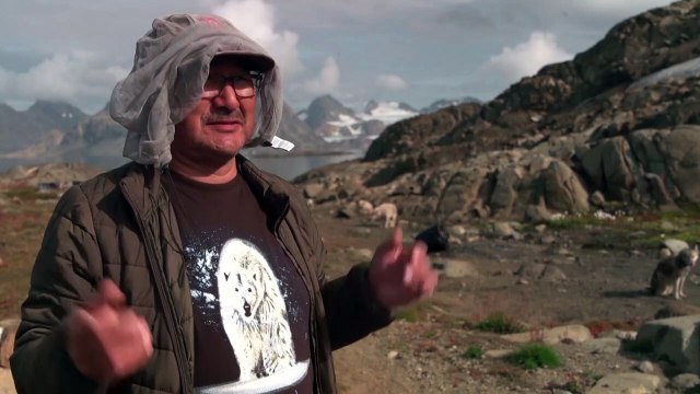 In Greenland village, shorter winters cast doubts over dog sledding