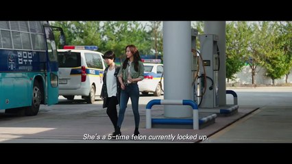 The Bad Guys Reign of Chaos Movie