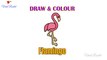 Flamingo Drawing and Colouring for kids  | Flamingo Bird drawing for children | Art Breeze # 26 | Learn Colouring and Drawing for kids |Viral Rocket