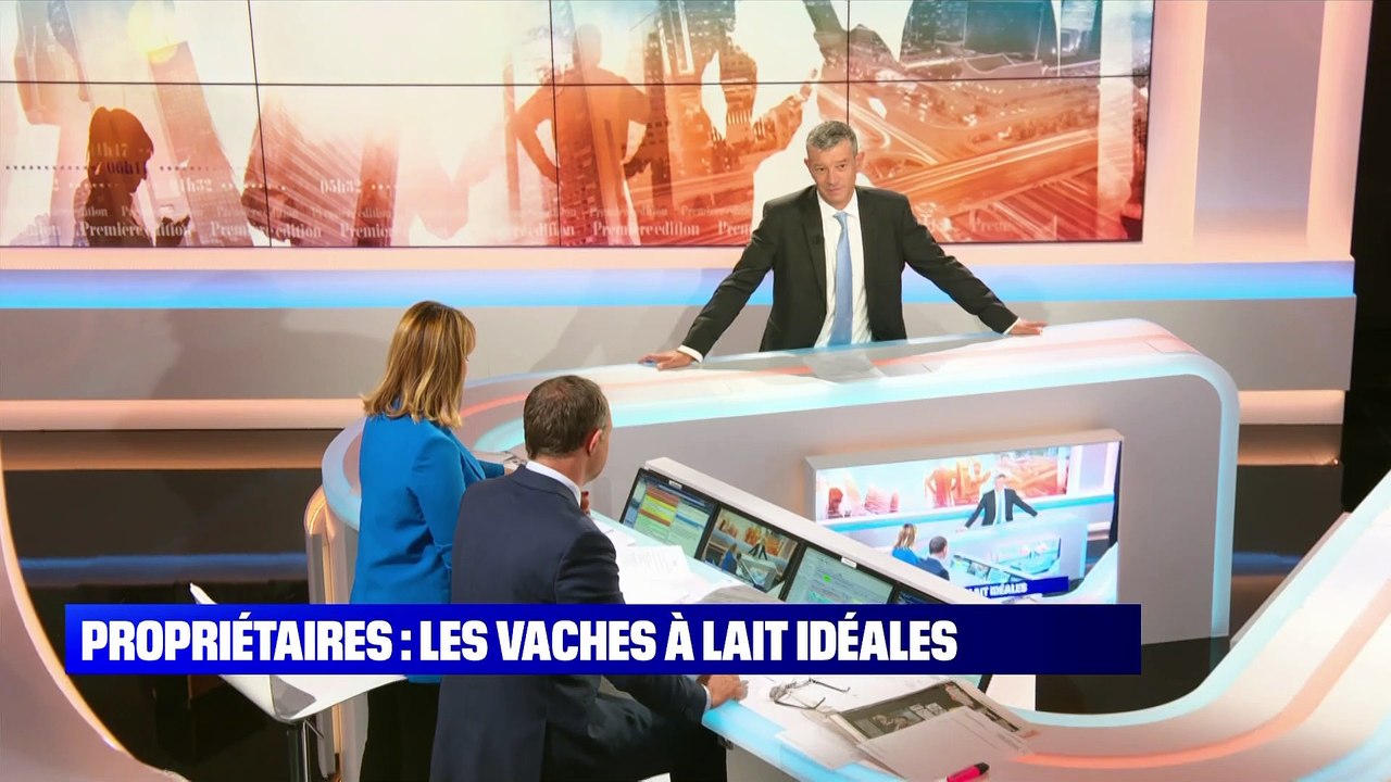 Propriétaires: les vaches à lait idéales - 06/09