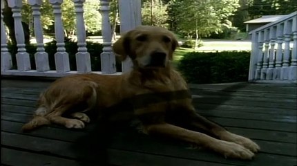 Goosebumps Season 1 Episode 11 My Hairiest Adventure