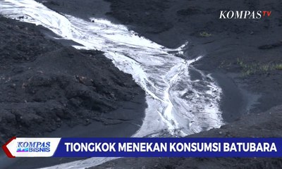Batubara Indonesia Menuju Ujung Tanduk