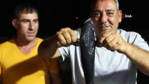Bodrum'da Oltaya Takılan Balık Şaşkınlığa Sebep Oldu