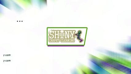 Best and Leading Carpet Cleaning Company in Springfield VA