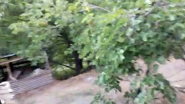 ERZURUM-TORTUM TORTUM KALE KÖYÜNDEN BİR GÖRÜNTÜ