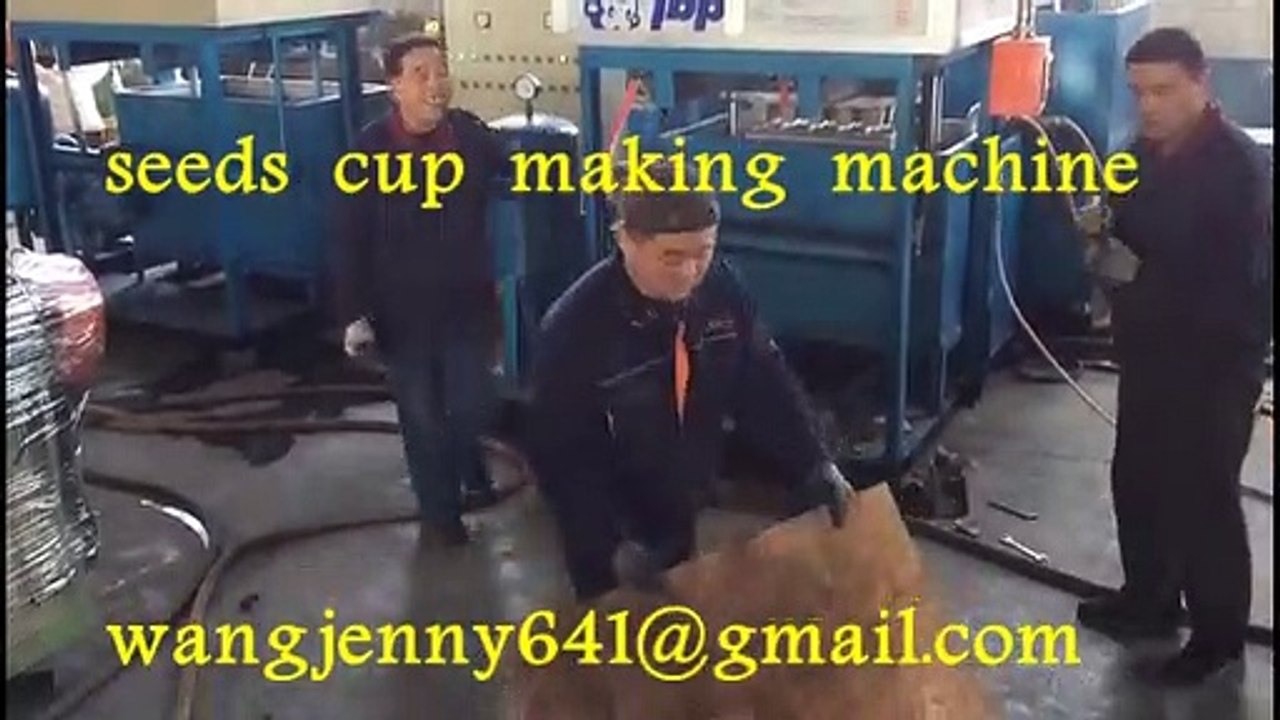 seeds cup  making machine-whatsapp:0086-15153504975