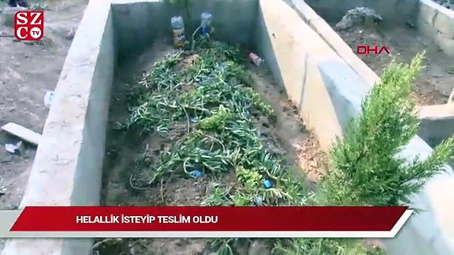 Öldürdüğü kuzeninin mezarı başında helallik isteyip, teslim oldu