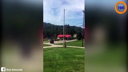 Il abandonne son chien qui court après la voiture...