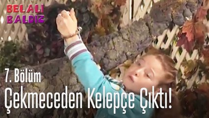 Arzu'nun çekmecesinden çıkan kelepçe... - Belalı Baldız 7. Bölüm