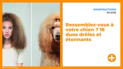 Ressemblez-vous à votre chien ? 16 duos drôles et étonnants.
