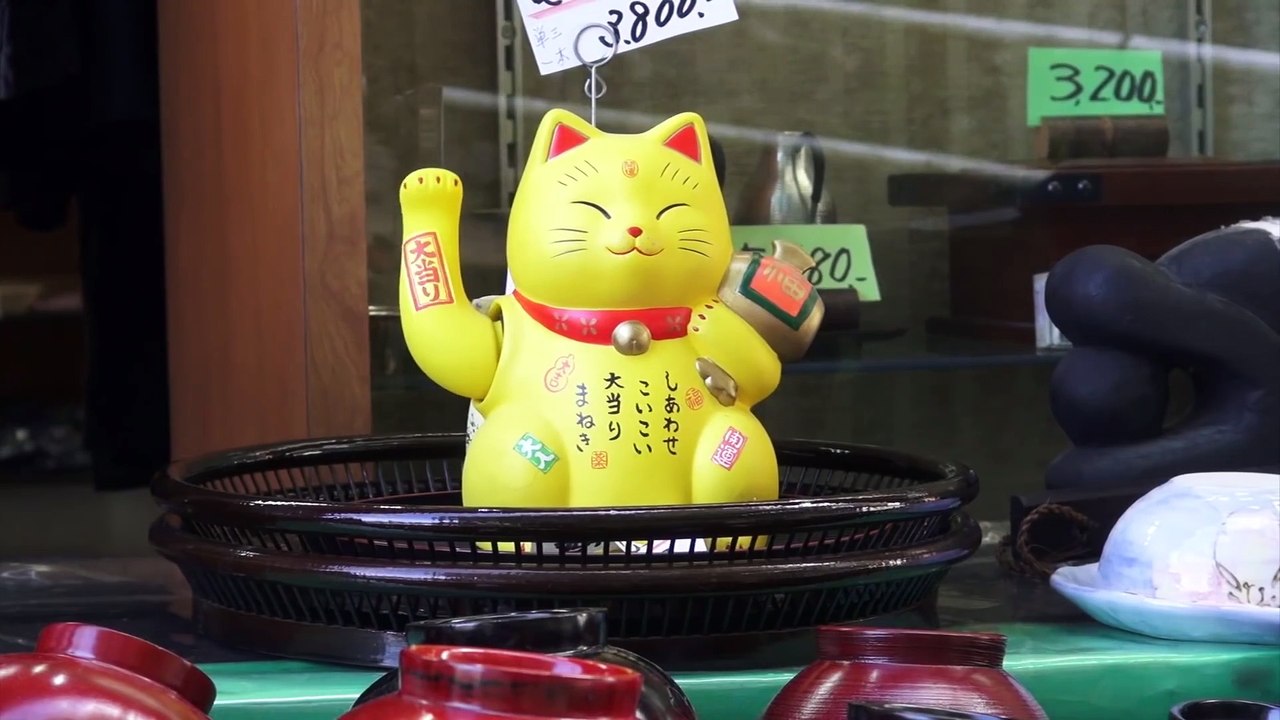 Cherry Blossoms Around Japan- Mt. Fuji and Nara in JAPAN