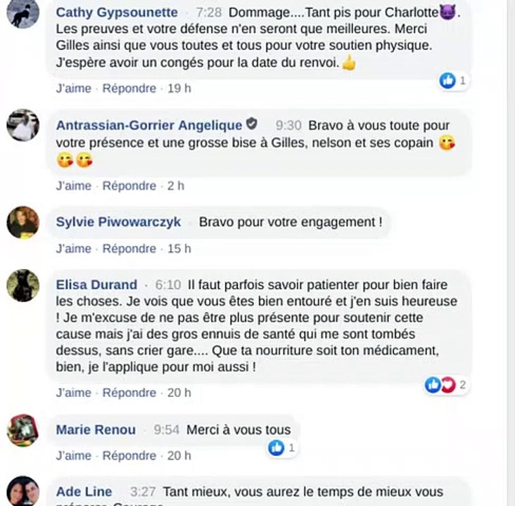 Alerte croquette : comment financer les procès de Gilles Vouillon ?