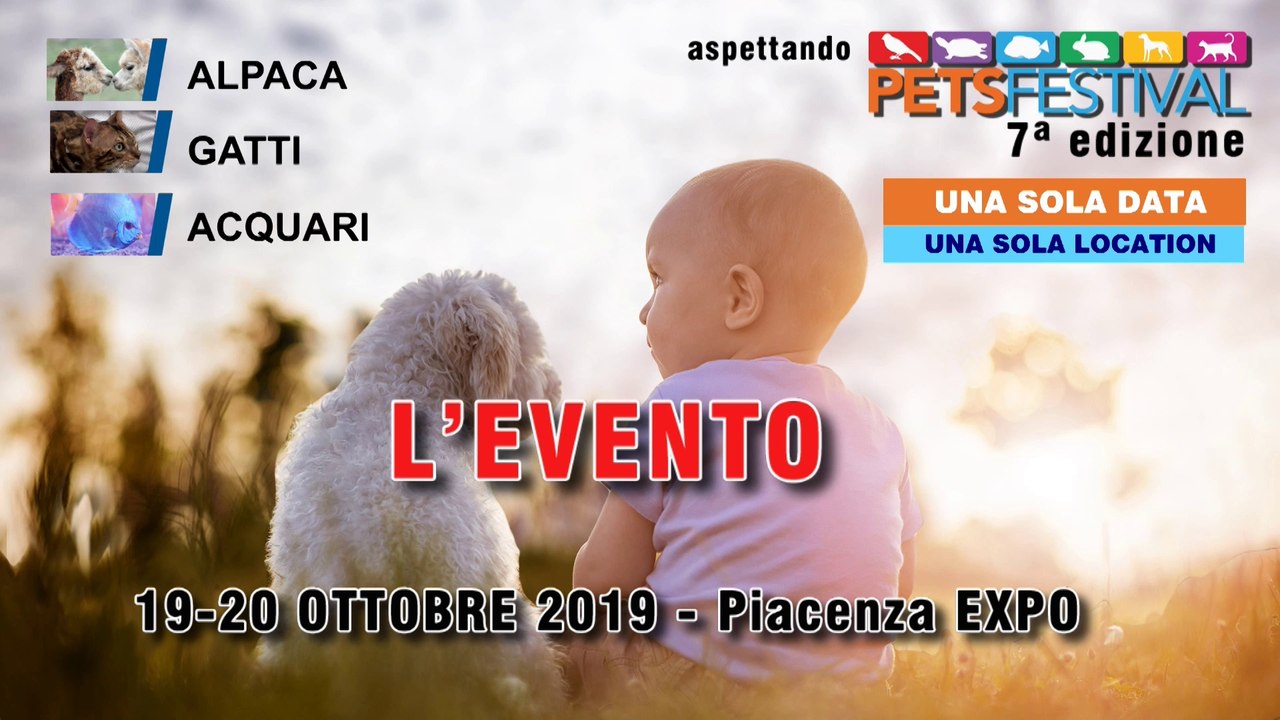Asptando PETSFESTIVAL 2019 - Puntata 1