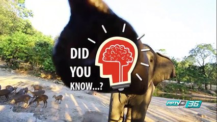 ออกกำลังทีไร ก็คันยุบยิบตามเนื้อตามตัว - Did you Know