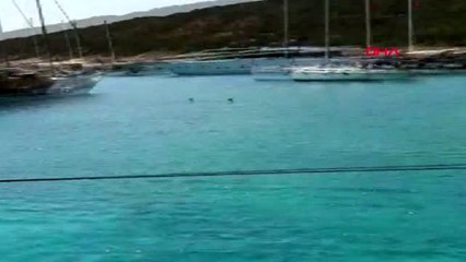 Muğla denizde fenalaşan belçikalı turist yaşamını yitirdi