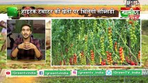 Kisan Bulletin - Hitech टमाटर की खेती पर मिलेगी Subsidy | Grameen News